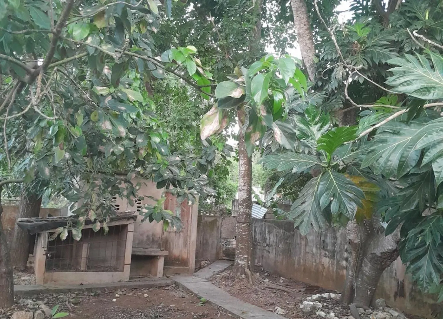 Aunt Lils Place Kupuis