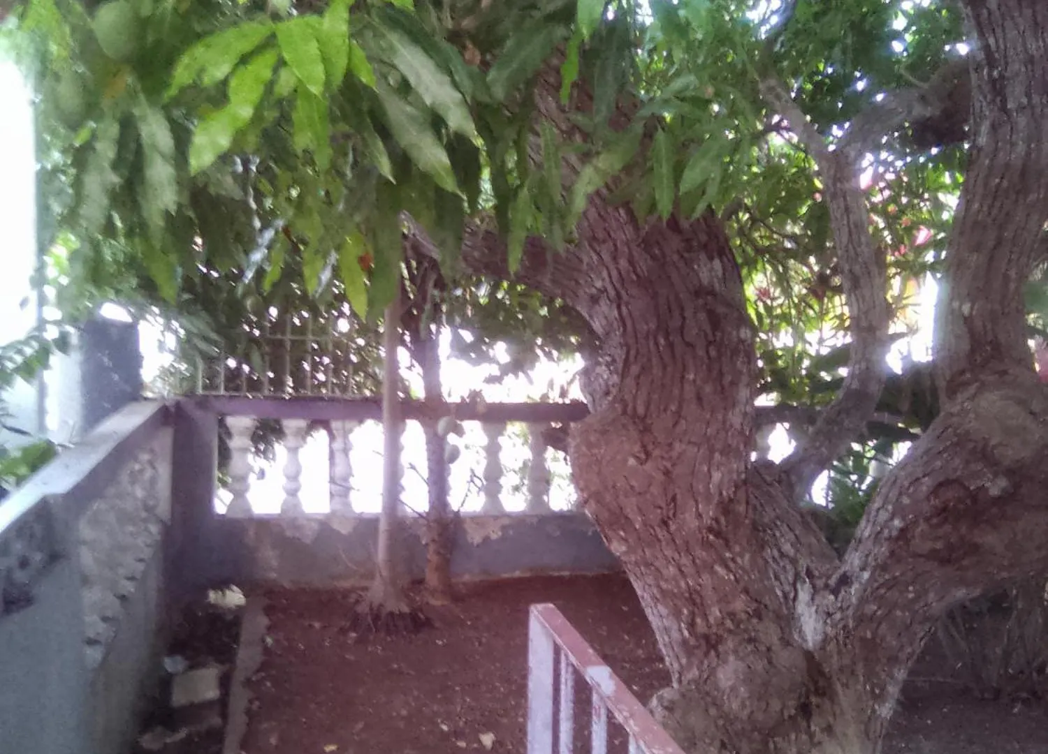 Aunt Lils Place Kupuis Guest house