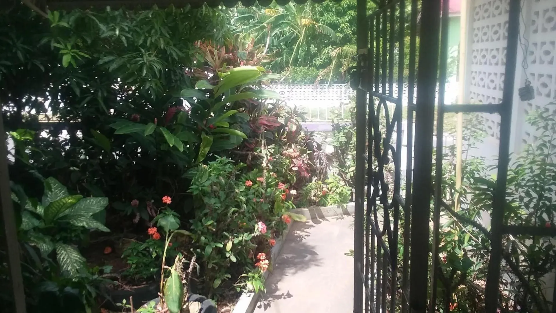 Aunt Lils Place Kupuis 0*,  Jamaica